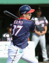 Baseball: Yano comes off bench to rescue Fighters