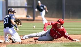 Baseball: Ohtani's DH debut in spring training