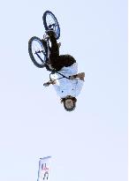 BMX: BMX freestyle