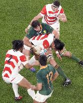 Rugby World Cup in Japan: Japan v South Africa