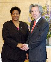 S. African deputy president talks with Koizumi