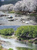 Disaster-hit Kesennuma in April and June