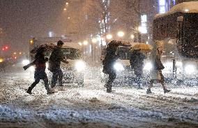 Heavy snowfall hits Tokyo