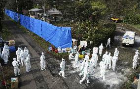 Outbreak of hog cholera in Japan