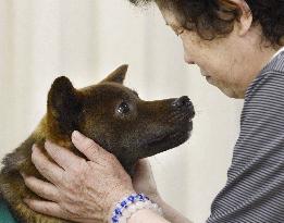 Therapy dogs comfort quake-affected people