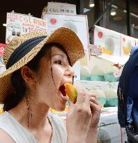 Premium melon-tasting event in Japan