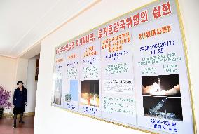 Panels on N. Korea's nuclear and missile developmen
