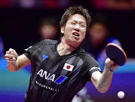 Table tennis: World Team Table Tennis Championships