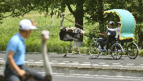 Ostrich farm in Pyongyang