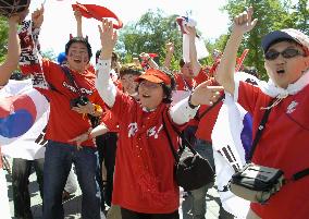 Supporters at World Cup matches