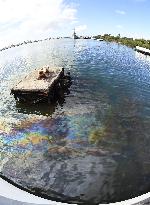 Abe, Obama to visit Pearl Harbor