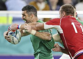 Rugby World Cup in Japan: Ireland v Russia