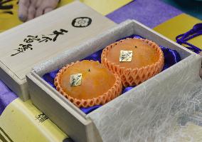 Premium persimmons in Japan