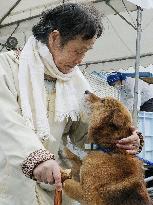 Rescued pets in Fukushima