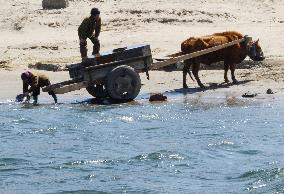 China tour offers glimpse of 'real life' in N. Korea