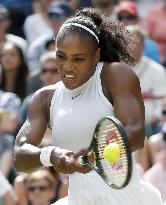 Tennis: S. Williams advances to Wimbledon semifinals