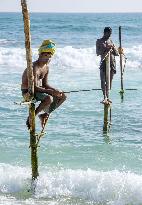 Sri Lankan traditional stilt fishing