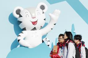 Pyeongchang Olympics