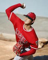 Baseball: Ohtani in bullpen session