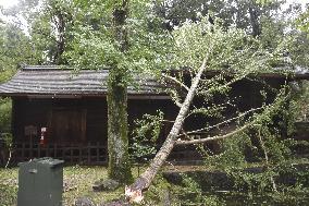 Powerful typhoon in western Japan