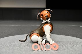 Aibo robot dog