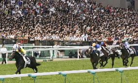 Vodka stuns colts to win Japanese Derby