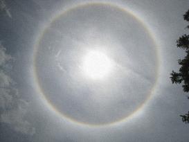 Halo around sun