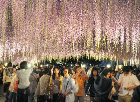 People treated to pink floral shower