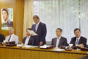 LDP to focus on 4 areas in crafting Constitution amendment proposal