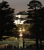Imperial Palace illumination