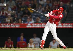 Baseball: Shohei Ohtani