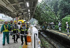 Tree falls down at Harajuku Station due to typhoon