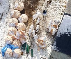 Culling of chickens continues at Hokkaido farm after bird flu outbreak