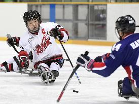 Paralympics: Captain of Japan's delegation