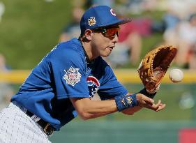 Baseball: Cubs release Kawasaki