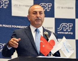 Turkey's foreign minister vows to solve Qatar-Saudi Arabia crisis