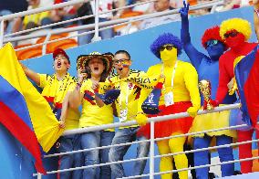 Football: Supporters at World Cup