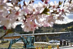 Fukushima plant hometown