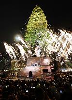 Giant Christmas tree in Kobe