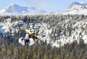 Freestyle skiing