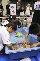 National goldfish scooping championships in Japan