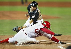 Carp marks 2nd win of Japan Series