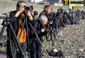 Film cameras remain popular among Japanese fans