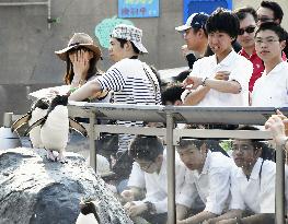 Mercury reaches 30 C in Hokkaido