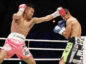 Boxing: Higa defends title