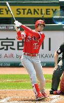 Baseball: Angels' Ohtani
