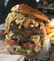 Darvish hamburger