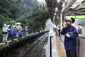 Tree falls down at Harajuku Station due to typhoon