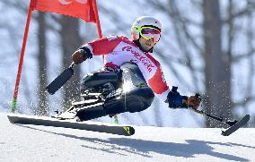 Pyeongchang Paralympics