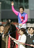 Meisho Samson wins Japanese Derby